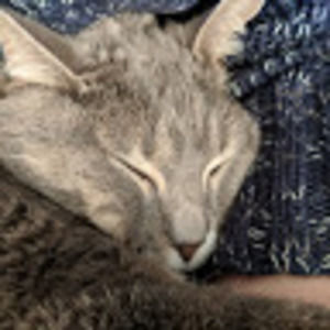 Meet your Posher, Haley